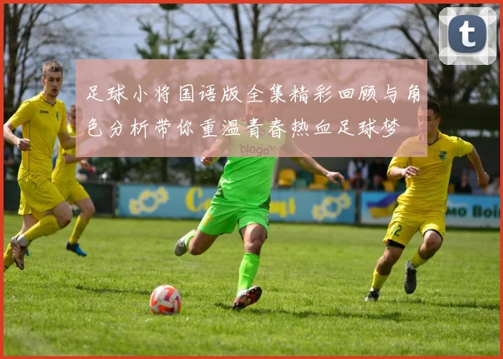 足球小将国语版全集精彩回顾与角色分析带你重温青春热血足球梦