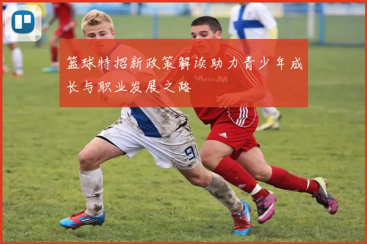 篮球特招新政策解读助力青少年成长与职业发展之路